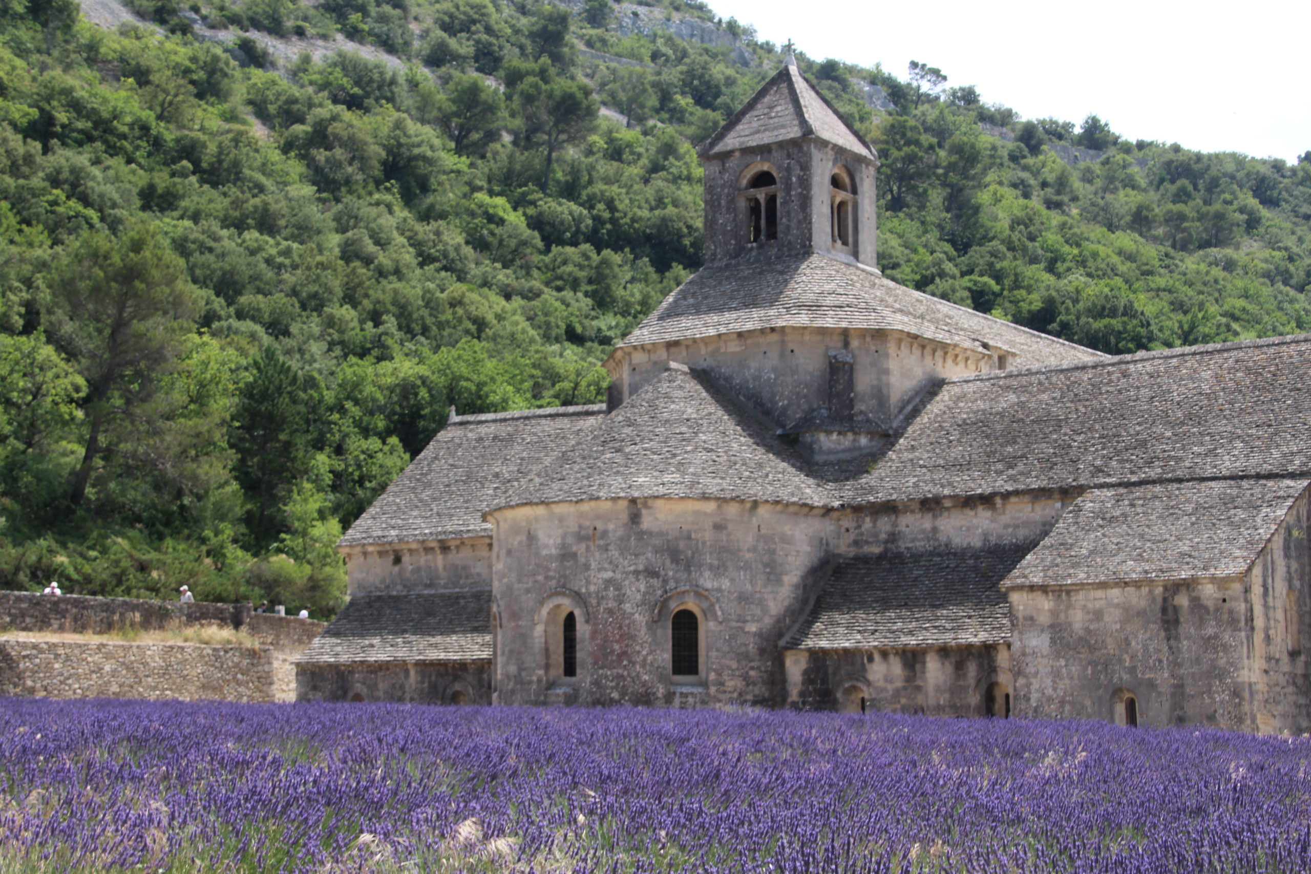 A Perfect Week in Provence